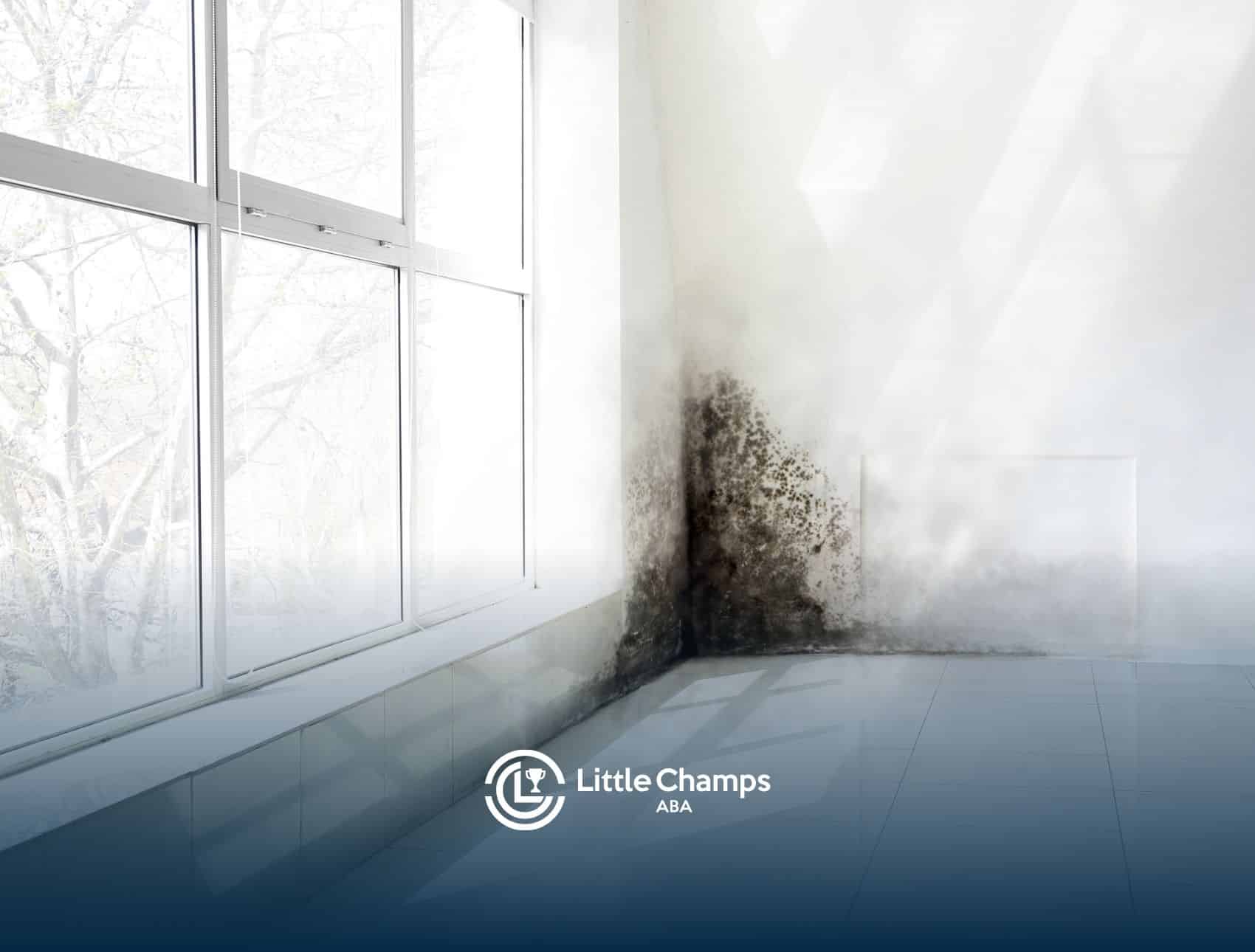 A bright room with a large window shows significant mold growth in the corner, indicating moisture issues.